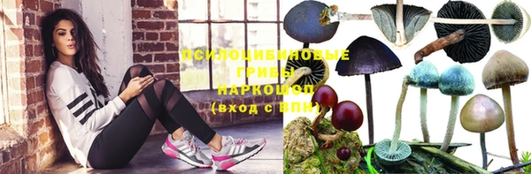 СК Алексеевка