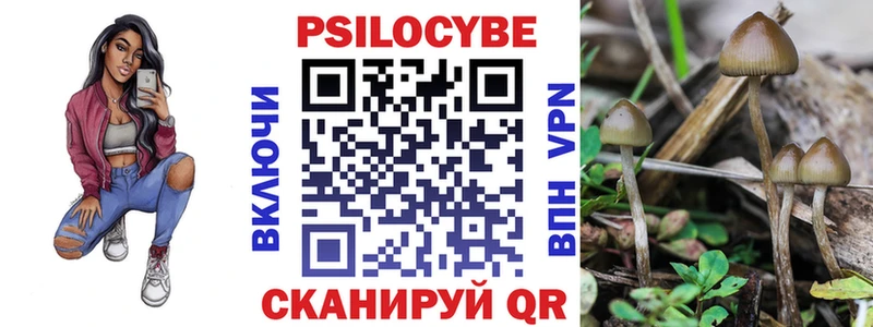 Галлюциногенные грибы Cubensis  KRAKEN ссылки  Щигры 